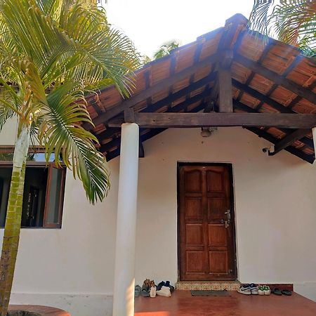 The Funky Monkey Hostel Anjuna Eksteriør billede